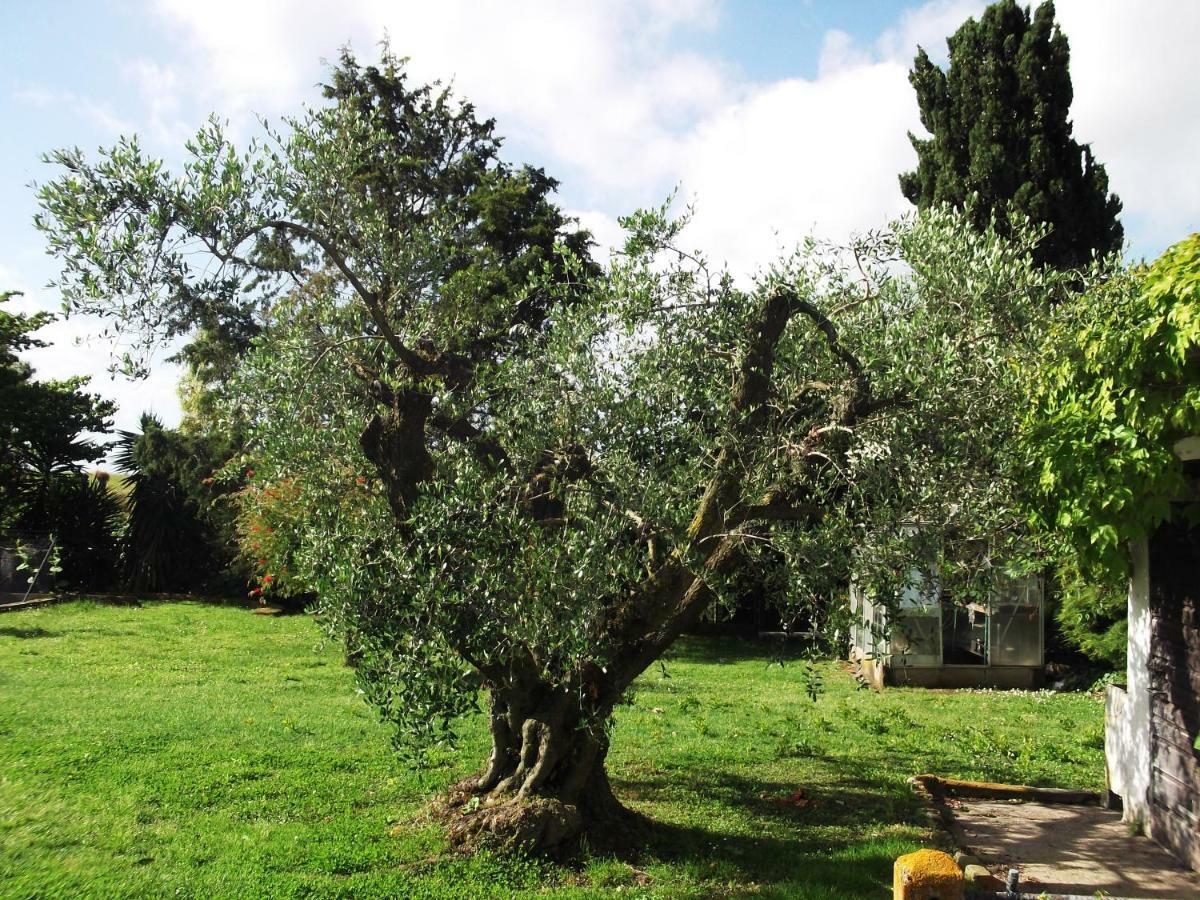 Poderi Di Tragliatella Экстерьер фото